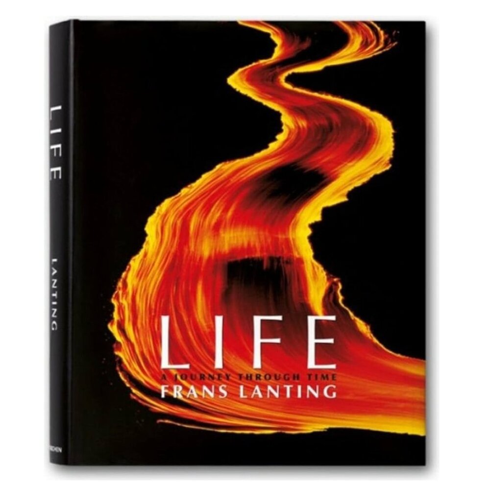 Life: A Journey Through Time